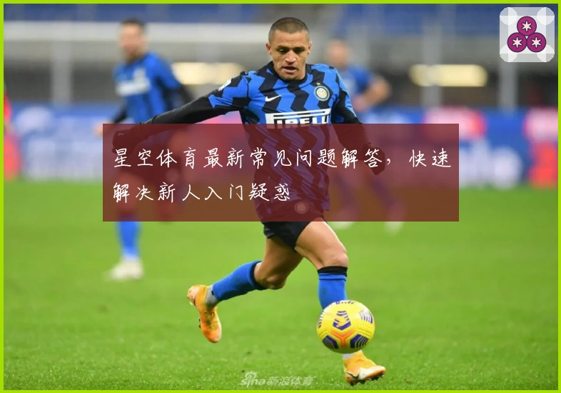 星空体育最新常见问题解答，快速解决新人入门疑惑