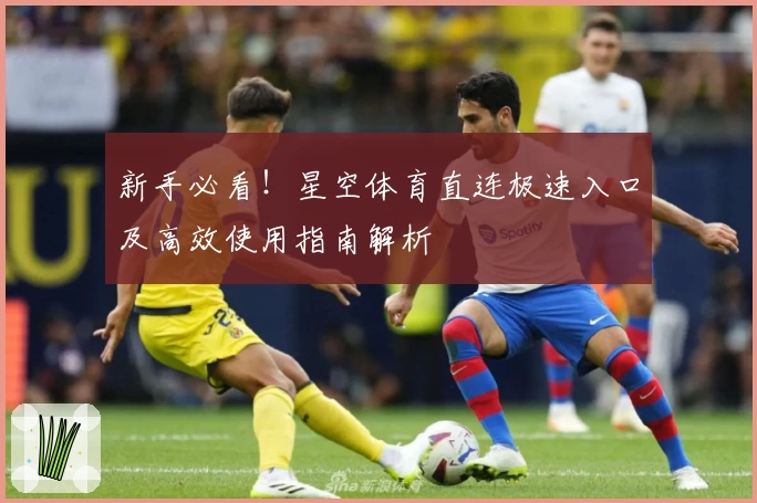 新手必看！星空体育直连极速入口及高效使用指南解析